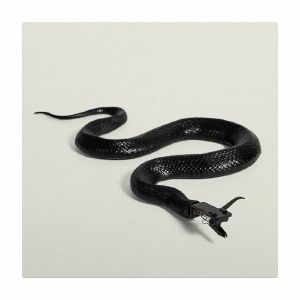 Serato David Ellis Sidewinder 12" Control Vinyl Records (pair, limited edition)