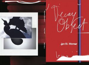 Decay Object: Fiepblatter Catalogue #7 (by Jan St Werner)