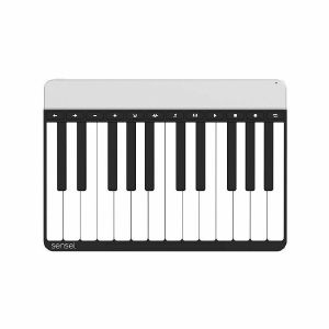 Sensel Piano Overlay For Morph MIDI Controller