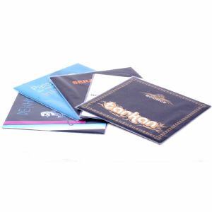 Zomo 12" Plastic Vinyl Record Sleeves Fine 85 (clear, pack of 100)