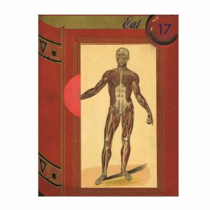 Eat 17, by Robert Pollard (B-STOCK)