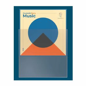 HumminGuru 12" Vinyl Record Crystal Clear Protective Outer Sleeves (pack of 50)
