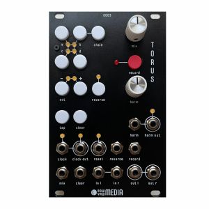 Raw Yaw Media Torus Harmonic Looper Module