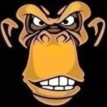 MonkeyPocket