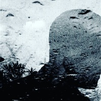 James Welsh