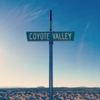 COYOTE