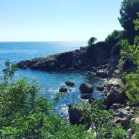 A VISION OF PANORAMA
