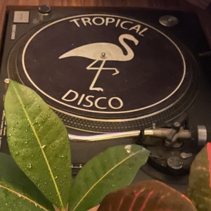 SARTORIAL (Tropical Disco Records)