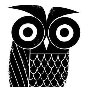 The Owl