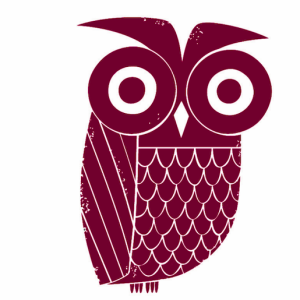 The Owl