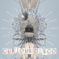 Curious Disco