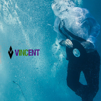 Vincent Inc