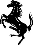 Horse Meat Disco