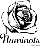 Numinots