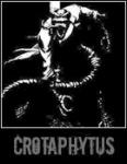 Crotaphytus