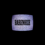 Bare Noize