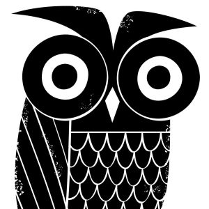 The Owl