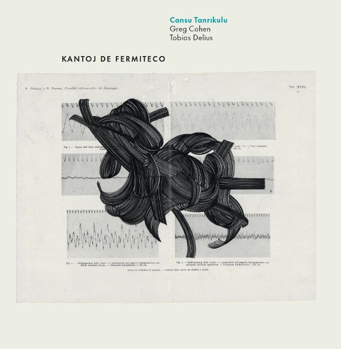 TANRIKUL, Cansu - Kantoj De Fermiteco