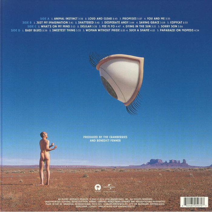 The CRANBERRIES Bury The Hatchet The Complete Sessions (Record Store