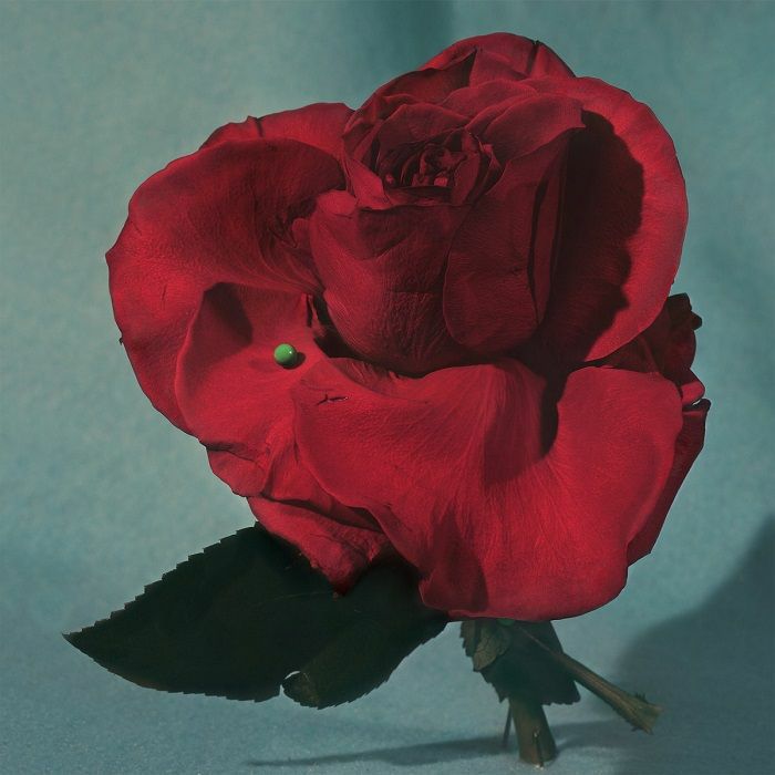 Metz – Up On Gravity Hill vinyl cover