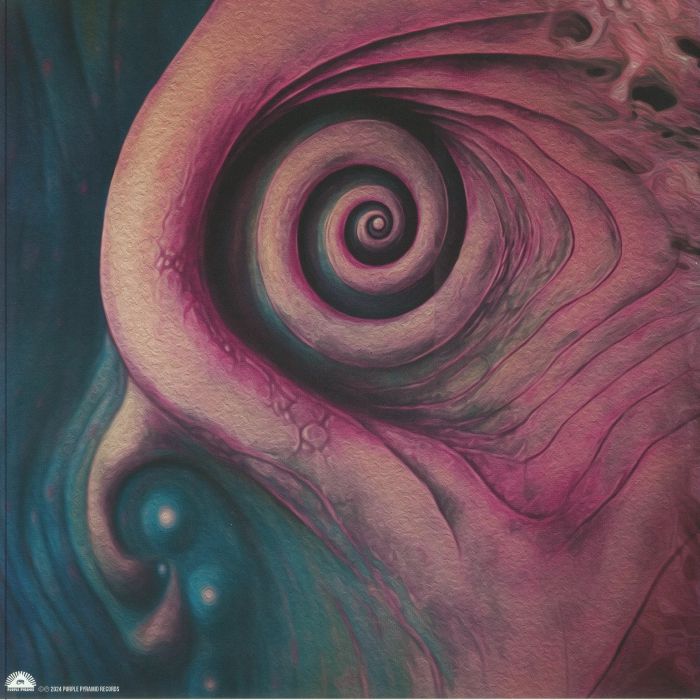 VARIOUS - Reimagining The Court Of The Crimson King