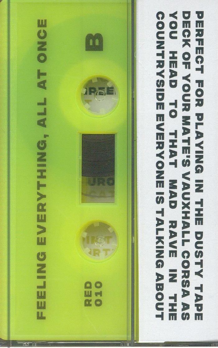 VARIOUS - Feeling Everything All At Once
