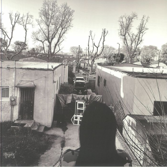 GENERACION SUICIDA - Regeneracion