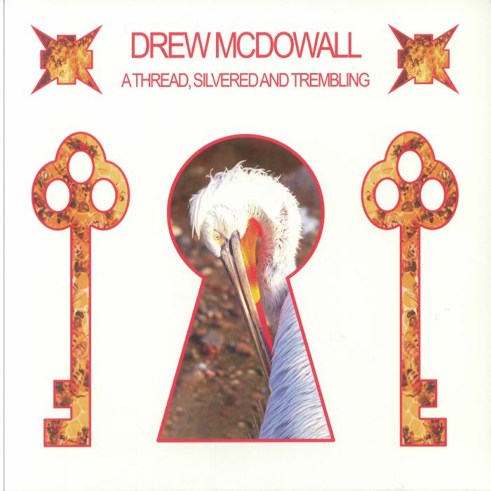 Drew Mcdowall – A Thread Silvered & Trembling vinyl cover