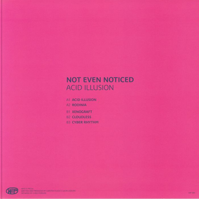 NOT EVEN NOTICED - Acid Illusion