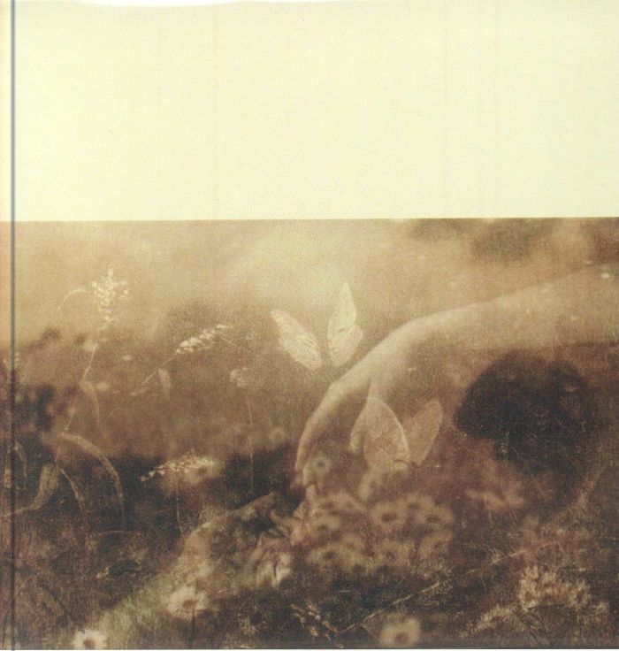CITY OF DAWN - Invincible Summer