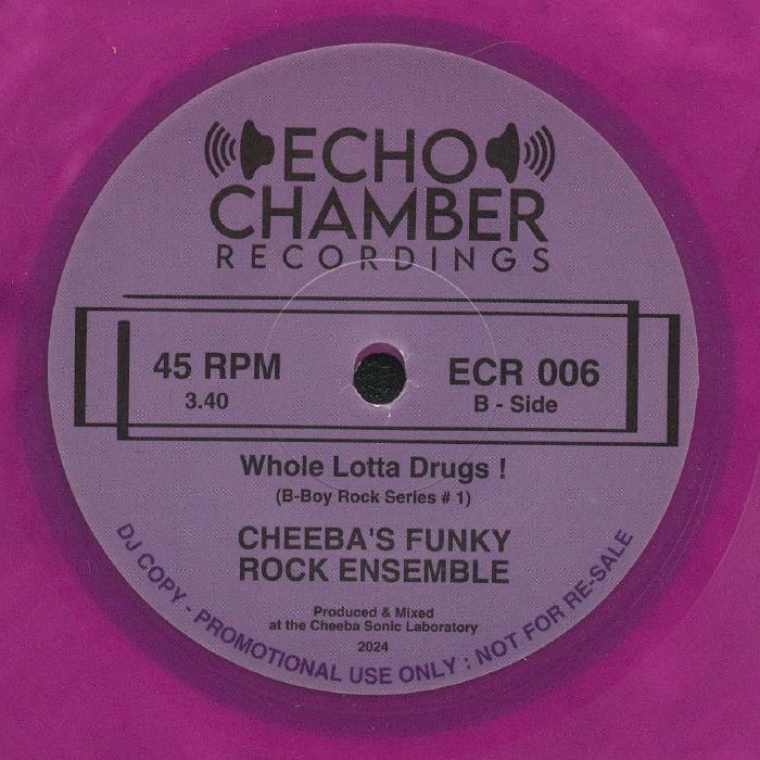 CHEEBA'S FUNKY ROCK ENSEMBLE - Good Thing Going (Put It On A Record)