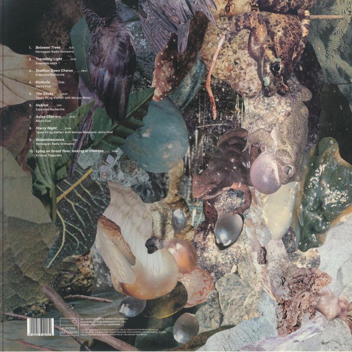 TJOGERSEN, Kristine/VARIOUS - Between Trees