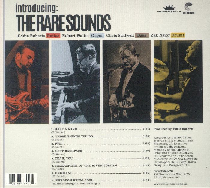 RARE SOUNDS, The - Introducing: The Rare Sounds