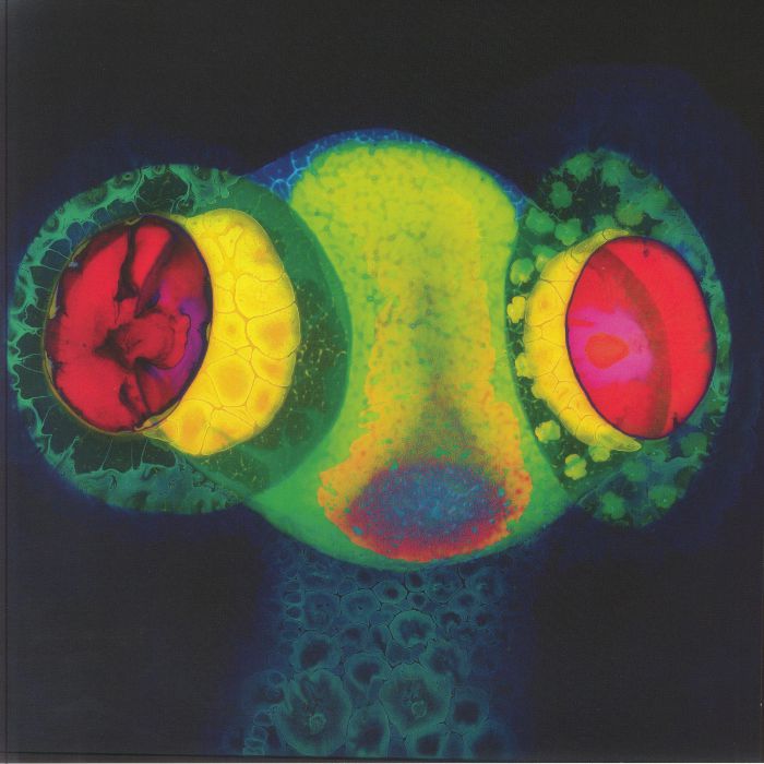 OSEES - Sorcs 80