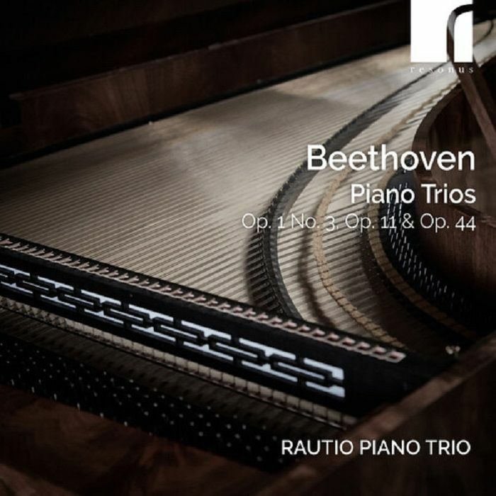 BEETHOVEN, Ludwig Van/RAUTIO PIANO TRIO - Piano Trios