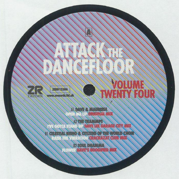 LEE, Dave/MAURISSA ROSE/THE TRAMMPS/CELESTIAL BEING/CITIZENS OF THE WORLD CHOIR/SOUL DHAMMA - Attack The Dancefloor Volume Twenty Four (incl Dave Lee & Crackazat mixes)