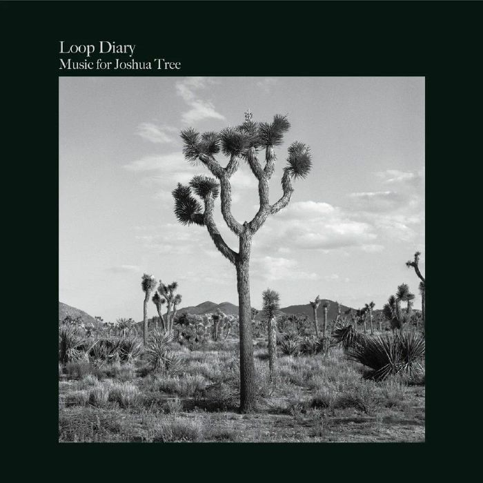 LOOP DIARY - Music For Joshua Tree