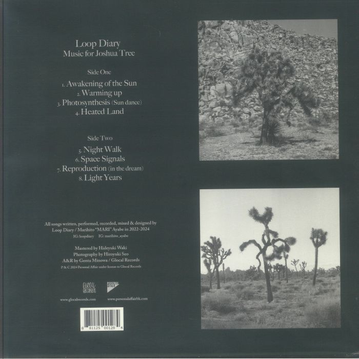 LOOP DIARY - Music For Joshua Tree