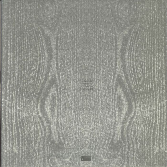 PAYSAGE D'HIVER - Schnee