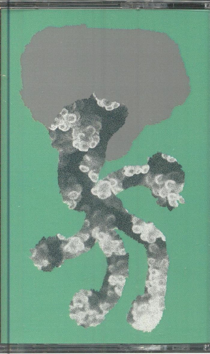 Loris S SARID - Seabed Sunbath