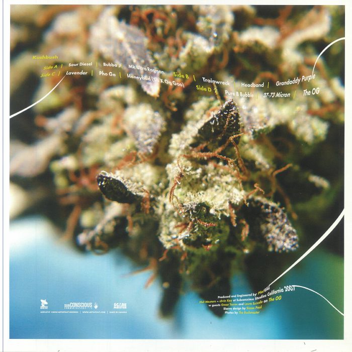 PLATEAU - Kushbush