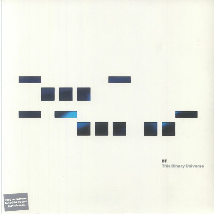 BT - This Binary Universe