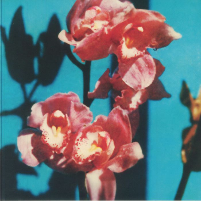 INHALER　OPEN WIDE　限定カラーレコード INHALER OPEN WIDE 限定カラーレコード