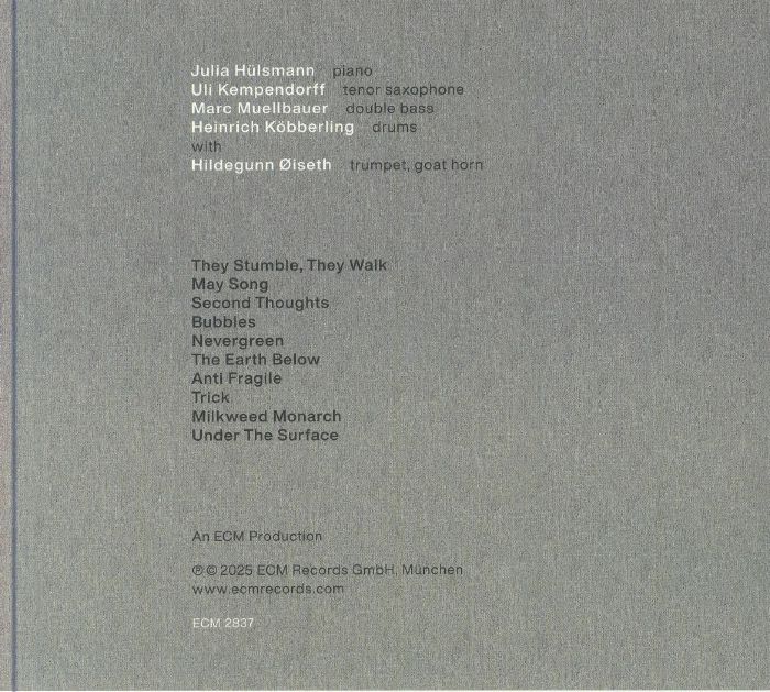 JULIA HULSMANN QUARTET - Under The Surface