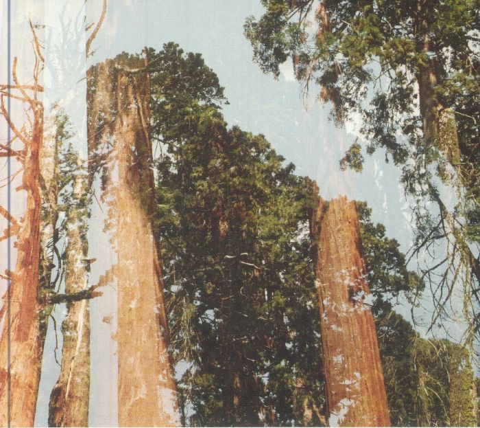 FROM OVERSEAS/JAMES BERNARD/ZAKE - Flint