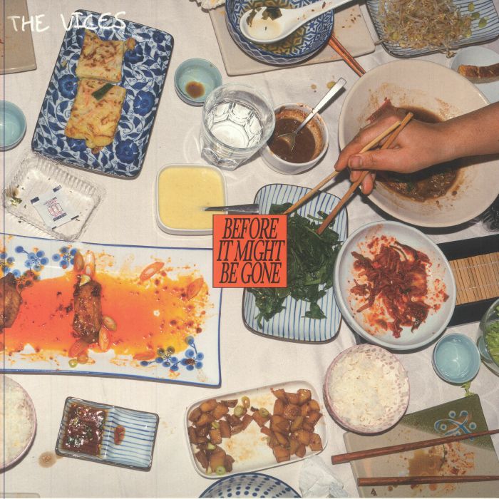 VICES, The - Before It Might Be Gone