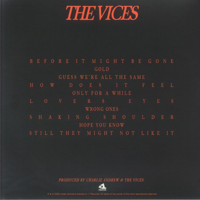 VICES, The - Before It Might Be Gone