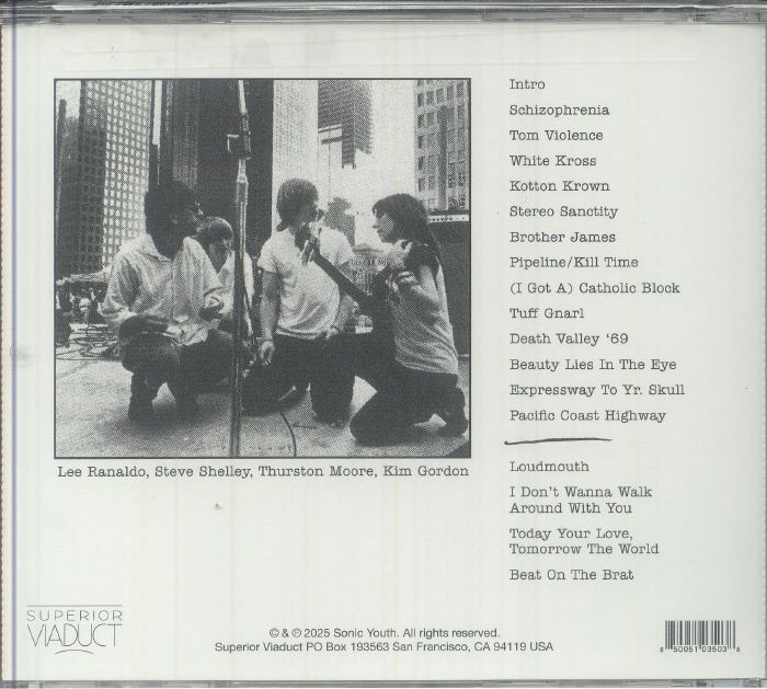 SONIC YOUTH - Hold That Tiger