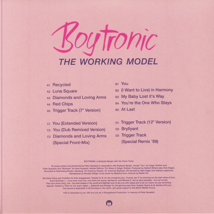 BOYTRONIC - The Working Model