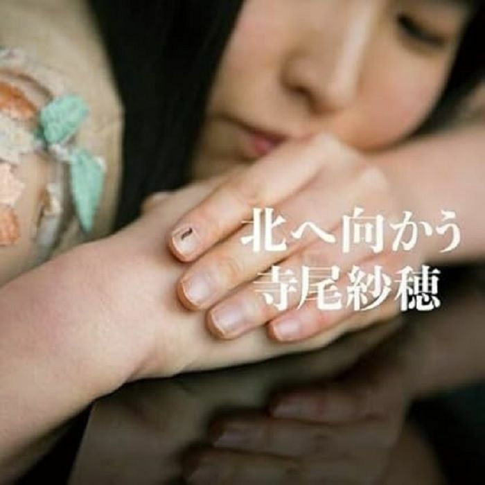 TERAO, Saho - Going North